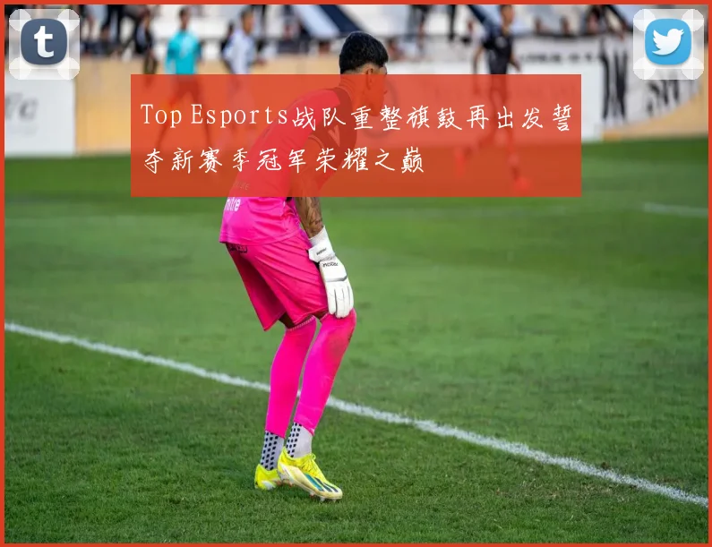 Top Esports战队重整旗鼓再出发誓夺新赛季冠军荣耀之巅