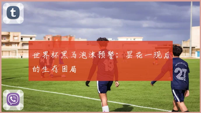 世界杯黑马泡沫预警：昙花一现后的生存困局