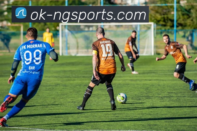 ng体育平台生态图